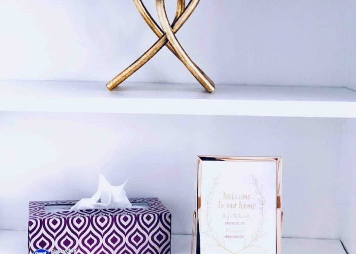 Elegant 3BR/1BA Apartment Suite (Chicago, IL)