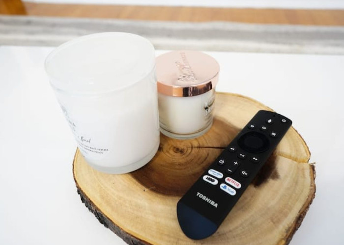 Elegant 3BR/1BA Apartment Suite (Chicago, IL)