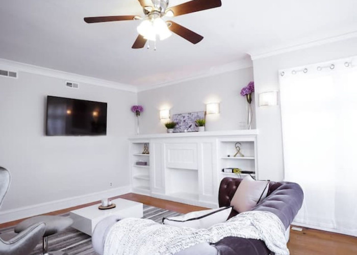 Elegant 3BR/1BA Apartment Suite (Chicago, IL)