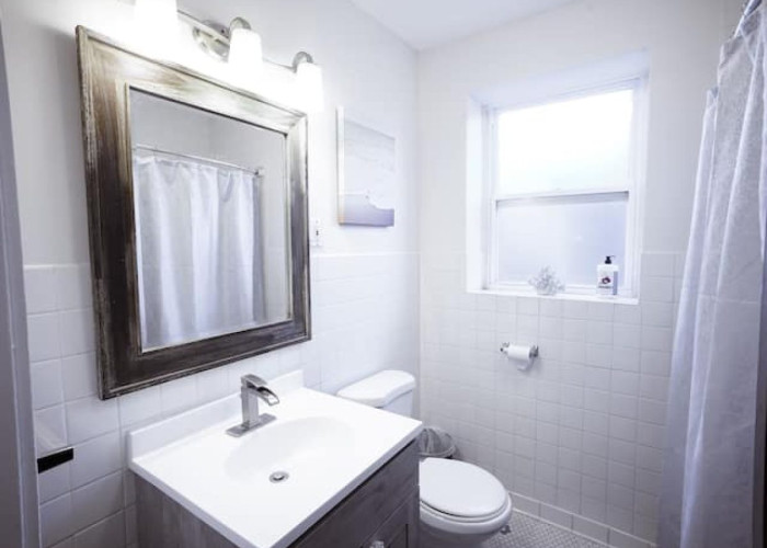 Elegant 3BR/1BA Apartment Suite (Chicago, IL)