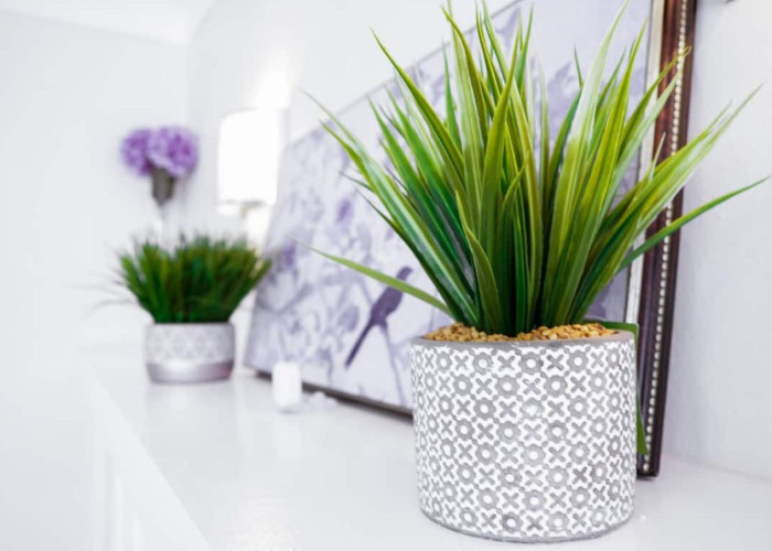 Elegant 3BR/1BA Apartment Suite (Chicago, IL)