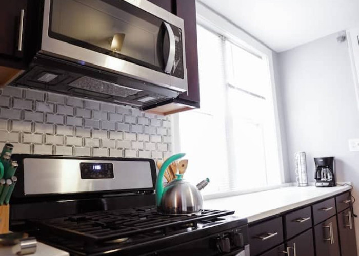 Elegant 3BR/1BA Apartment Suite (Chicago, IL)