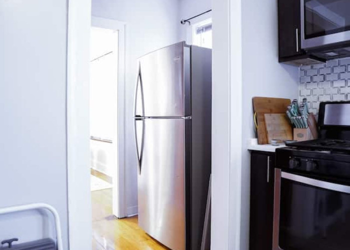 Elegant 3BR/1BA Apartment Suite (Chicago, IL)