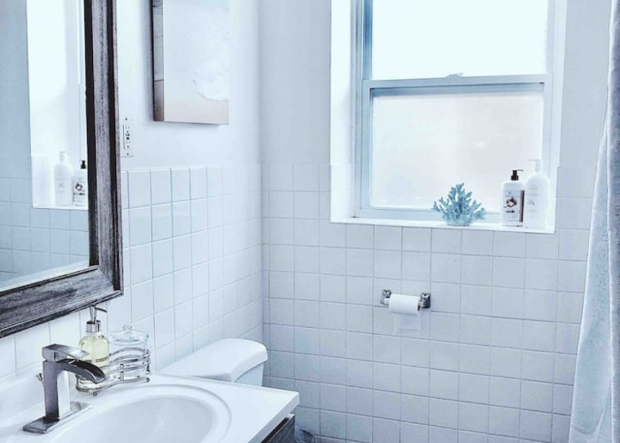 Elegant 3BR/1BA Apartment Suite (Chicago, IL)